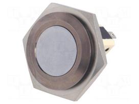 Switch: vandal resistant | Pos: 2 | SPST-NO + SPST-NC | 5A/250VAC