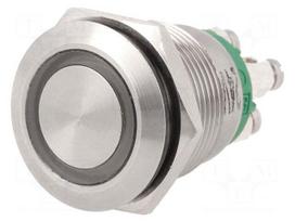 Switch: vandal resistant | Pos: 2 | SPST-NO | 0.05A/24VDC | IP66 | green