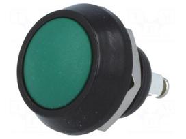 Switch: vandal resistant | Pos: 2 | SPST-NO | 2A/36VDC | IP65 | OFF-(ON)