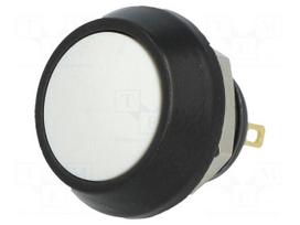 Switch: vandal resistant | Pos: 2 | SPST-NO | 2A/36VDC | IP65 | OFF-(ON)