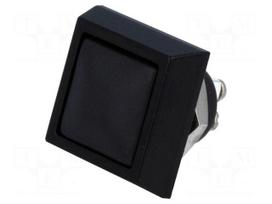 Switch: vandal resistant | Pos: 2 | SPST-NO | 2A/36VDC | IP65 | OFF-(ON)