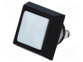 Switch: vandal resistant | Pos: 2 | SPST-NO | 2A/36VDC | IP65 | OFF-(ON)