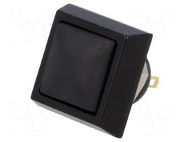 Switch: vandal resistant | Pos: 2 | SPST-NO | 2A/36VDC | IP65 | OFF-(ON)