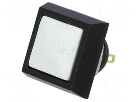 Switch: vandal resistant | Pos: 2 | SPST-NO | 2A/36VDC | IP65 | OFF-(ON)