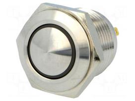 Switch: vandal resistant | Pos: 2 | SPST-NO | 2A/36VDC | IP65 | OFF-(ON)