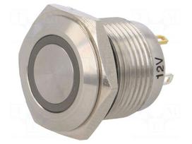 Switch: vandal resistant | Pos: 2 | SPST-NO | 2A/36VDC | IP65 | OFF-(ON)