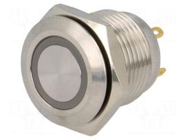 Switch: vandal resistant | Pos: 2 | SPST-NO | 2A/36VDC | IP65 | OFF-(ON)