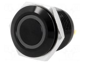 Switch: vandal resistant | Pos: 2 | SPST-NO | 2A/36VDC | IP65 | OFF-(ON)
