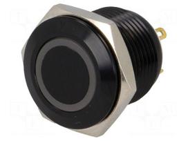 Switch: vandal resistant | Pos: 2 | SPST-NO | 2A/36VDC | IP65 | OFF-(ON)