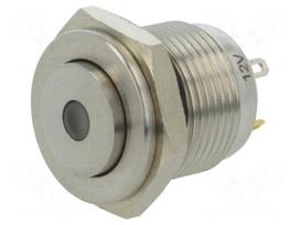 Switch: vandal resistant | Pos: 2 | SPST-NO | 2A/36VDC | IP65 | OFF-(ON)