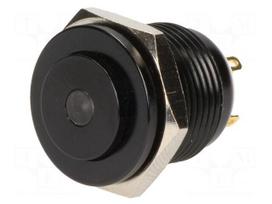 Switch: vandal resistant | Pos: 2 | SPST-NO | 2A/36VDC | IP65 | OFF-(ON)