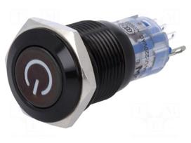 Switch: vandal resistant | Pos: 2 | SPDT | 0.5A/220VAC | 1A/24VDC | IP40