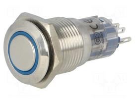 Switch: vandal resistant | Pos: 2 | SPDT | 0.5A/220VAC | 1A/24VDC | IP67