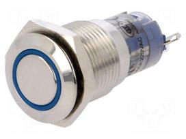 Switch: vandal resistant | Pos: 2 | SPDT | 0.5A/220VAC | 1A/24VDC | IP67