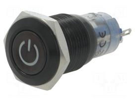 Switch: vandal resistant | Pos: 2 | SPDT | 0.5A/220VAC | 1A/24VDC | IP40