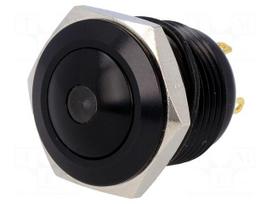 Switch: vandal resistant | Pos: 2 | SPST-NO | 2A/36VDC | IP65 | OFF-(ON)