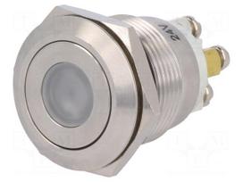 Switch: vandal resistant | Pos: 2 | SPST-NO | 0.5A/220VAC | 2A/36VDC