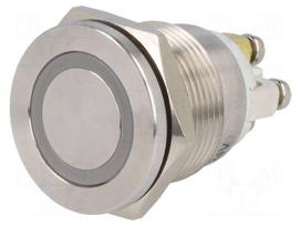 Switch: vandal resistant | Pos: 2 | SPST-NO | 0.5A/220VAC | 2A/36VDC