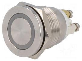 Switch: vandal resistant | Pos: 2 | SPST-NO | 0.5A/220VAC | 2A/36VDC
