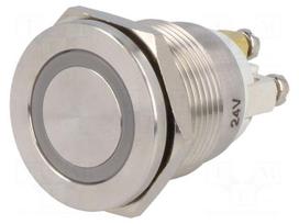 Switch: vandal resistant | Pos: 2 | SPST-NO | 0.5A/220VAC | 2A/36VDC