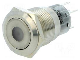 Switch: vandal resistant | Pos: 2 | SPDT | 0.5A/220VAC | 1A/24VDC | IP67