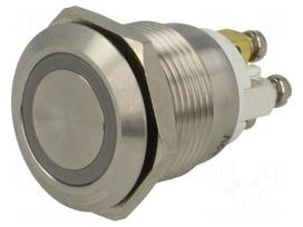Switch: vandal resistant | Pos: 2 | SPST-NO | 2A/36VDC | IP65 | OFF-(ON)