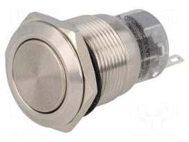 Switch: vandal resistant | Pos: 2 | SPDT | 0.5A/220VAC | 1A/24VDC | IP67