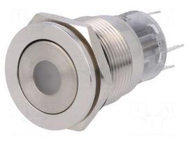 Switch: vandal resistant | Pos: 2 | SPDT | 0.5A/220VAC | 1A/24VDC | IP67
