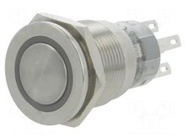 Switch: vandal resistant | Pos: 2 | SPDT | 0.5A/220VAC | 1A/24VDC | IP67