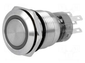 Switch: vandal resistant | Pos: 2 | SPDT | 0.5A/220VAC | 1A/24VDC | IP67