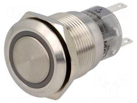 Switch: vandal resistant | Pos: 2 | SPDT | 0.5A/220VAC | 1A/24VDC | IP67