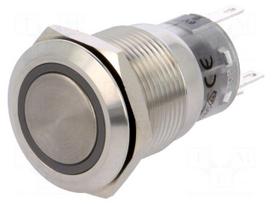 Switch: vandal resistant | Pos: 2 | SPDT | 0.5A/220VAC | 1A/24VDC | IP67