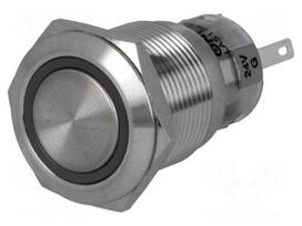 Switch: vandal resistant | Pos: 2 | SPDT | 0.5A/220VAC | 1A/24VDC | IP67