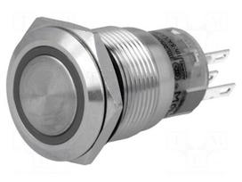 Switch: vandal resistant | Pos: 2 | SPDT | 0.5A/220VAC | 1A/24VDC | IP67