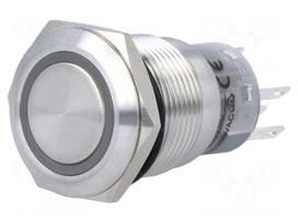 Switch: vandal resistant | Pos: 2 | SPDT | 0.5A/220VAC | 1A/24VDC | IP67