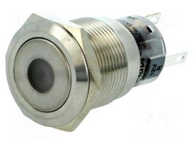 Switch: vandal resistant | Pos: 2 | SPDT | 0.5A/220VAC | 1A/24VDC | IP67