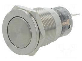 Switch: vandal resistant | Pos: 2 | SPDT | 0.5A/220VAC | 1A/24VDC | IP67