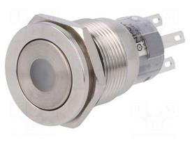Switch: vandal resistant | Pos: 2 | SPDT | 0.5A/220VAC | 1A/24VDC | IP67