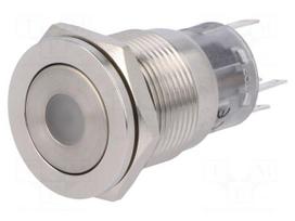 Switch: vandal resistant | Pos: 2 | SPDT | 0.5A/220VAC | 1A/24VDC | IP67