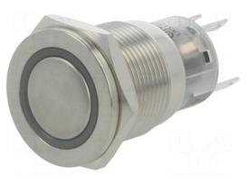 Switch: vandal resistant | Pos: 2 | SPDT | 0.5A/220VAC | 1A/24VDC | IP67