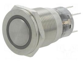 Switch: vandal resistant | Pos: 2 | SPDT | 0.5A/220VAC | 1A/24VDC | IP67