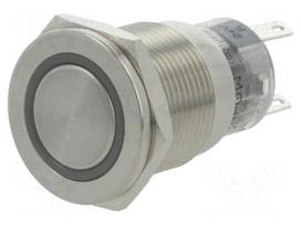 Switch: vandal resistant | Pos: 2 | SPDT | 0.5A/220VAC | 1A/24VDC | IP67