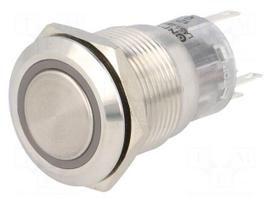 Switch: vandal resistant | Pos: 2 | SPDT | 0.5A/220VAC | 1A/24VDC | IP67