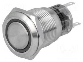 Switch: vandal resistant | Pos: 2 | SPDT | 0.5A/220VAC | 1A/24VDC | IP67