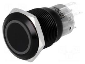 Switch: vandal resistant | Pos: 2 | SPDT | 0.5A/220VAC | 1A/24VDC | IP67