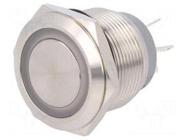 Switch: vandal resistant | Pos: 2 | SPDT | 0.5A/220VAC | 2A/36VDC | IP67