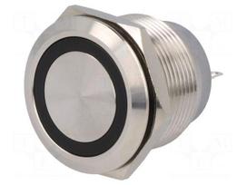 Switch: vandal resistant | Pos: 2 | SPDT | 0.5A/220VAC | 2A/36VDC | IP67