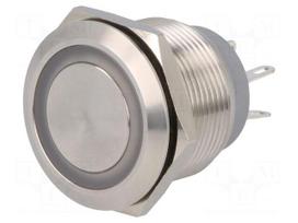 Switch: vandal resistant | Pos: 2 | SPDT | 0.5A/220VAC | 2A/36VDC | IP67