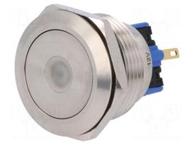 Switch: vandal resistant | Pos: 2 | SPDT | 3A/220VAC | 5A/24VDC | IP65
