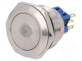 Switch: vandal resistant | Pos: 2 | SPDT | 3A/220VAC | 5A/24VDC | IP65